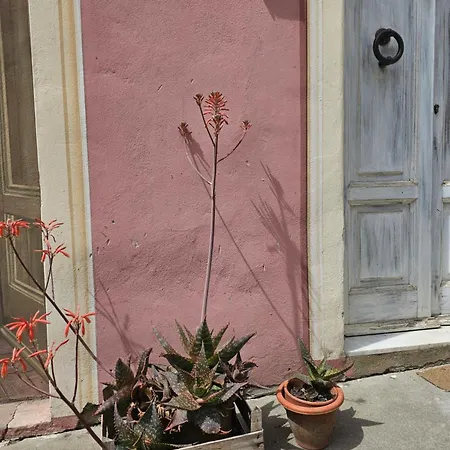 Сasa de vacaciones Dimora Rosé *